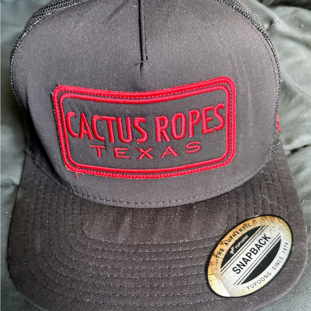 Hooey Cactus Ropes Texas Snapback Hat from Buckle